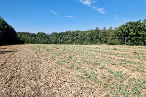 Działka na sprzedaż krakowski Iwanowice Narama - zdjęcie 3