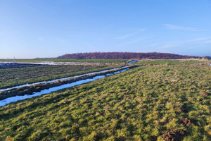 Działka na sprzedaż 2583m2 krakowski Skała Rzeplin - zdjęcie 3