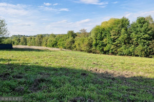 Działka na sprzedaż 2000m2 krakowski Zabierzów Zelków - zdjęcie 2