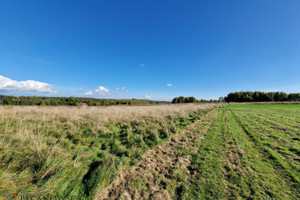 Działka na sprzedaż 4025m2 krakowski Zabierzów Zelków - zdjęcie 4