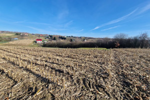 Działka na sprzedaż 2333m2 krakowski Zielonki Garliczka - zdjęcie 2