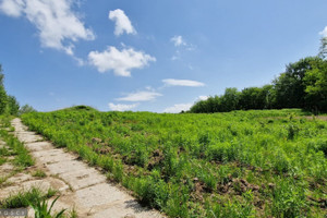 Działka na sprzedaż 13900m2 Kraków Prądnik Biały Tonie - zdjęcie 2