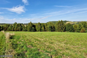 Działka na sprzedaż 2480m2 krakowski Zabierzów Zelków - zdjęcie 2