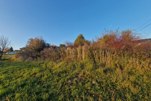 Działka na sprzedaż 799m2 krakowski Zielonki Owczary - zdjęcie 1