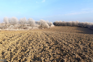 Działka na sprzedaż krakowski Skała - zdjęcie 2