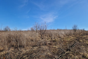 Działka na sprzedaż 1000m2 krakowski Michałowice - zdjęcie 2