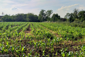 Działka na sprzedaż 2980m2 krakowski Wielka Wieś Będkowice - zdjęcie 1