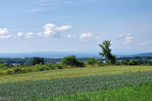 Działka na sprzedaż 17440m2 krakowski Zielonki Bibice - zdjęcie 1