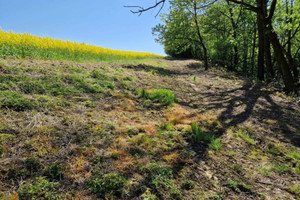 Działka na sprzedaż 10198m2 krakowski Iwanowice Sułkowice - zdjęcie 4