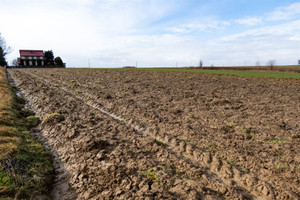 Działka na sprzedaż 7100m2 krakowski Iwanowice Celiny - zdjęcie 1