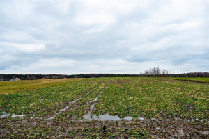 Działka na sprzedaż 5900m2 wielicki Niepołomice Staniątki - zdjęcie 2