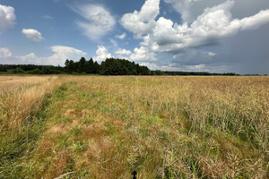 Działka na sprzedaż 6828m2 wielicki Kłaj Brzezie - zdjęcie 2