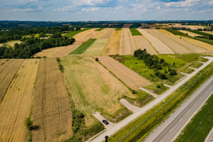 Działka na sprzedaż 8335m2 miechowski Miechów Szczepanowice - zdjęcie 2