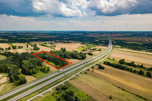 Działka na sprzedaż 15000m2 miechowski Miechów Szczepanowice - zdjęcie 1