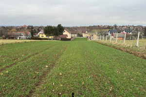 Działka na sprzedaż 2965m2 wielicki Niepołomice Staniątki - zdjęcie 3