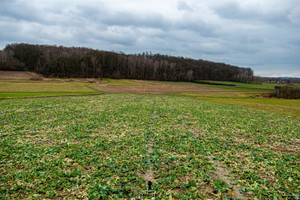 Działka na sprzedaż 5900m2 wielicki Niepołomice Staniątki - zdjęcie 1