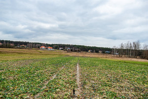 Działka na sprzedaż 5900m2 wielicki Niepołomice Staniątki - zdjęcie 3