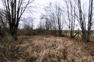 Działka na sprzedaż łódzki wschodni Koluszki Natolin - zdjęcie 2