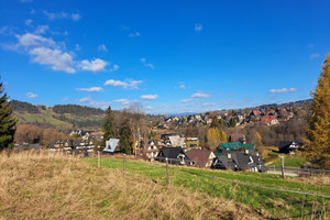 Działka na sprzedaż 2500m2 tatrzański Zakopane - zdjęcie 2