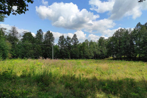 Działka na sprzedaż 9500m2 karkonoski Podgórzyn Ściegny - zdjęcie 1