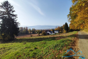 Działka na sprzedaż 4000m2 karkonoski Stara Kamienica Wojcieszyce Jabłoniowa - zdjęcie 3