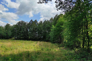 Działka na sprzedaż 9500m2 karkonoski Podgórzyn Ściegny - zdjęcie 2