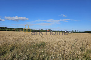 Działka na sprzedaż 6941m2 poznański Kórnik Konarskie - zdjęcie 2