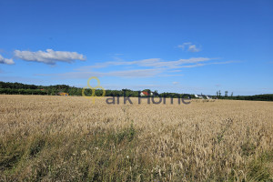 Działka na sprzedaż 6941m2 poznański Kórnik Konarskie - zdjęcie 2