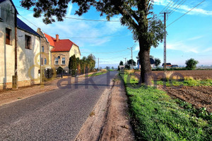 Działka na sprzedaż 3081m2 górowski Góra Strumienna - zdjęcie 1