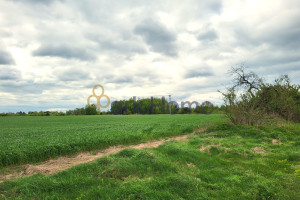 Działka na sprzedaż 3099m2 poznański Stęszew Rybojedzko - zdjęcie 3