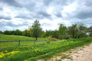 Działka na sprzedaż 3099m2 poznański Stęszew Rybojedzko - zdjęcie 1