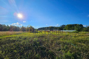 Działka na sprzedaż 1001m2 Zielona Góra Przylep - zdjęcie 3