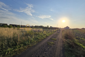 Działka na sprzedaż 1200m2 leszczyński Święciechowa Lasocice - zdjęcie 2