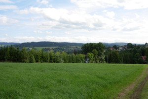 Działka na sprzedaż 5980m2 nowotarski Rabka-Zdrój - zdjęcie 2