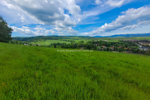 Działka na sprzedaż 1100m2 nowotarski Raba Wyżna - zdjęcie 3