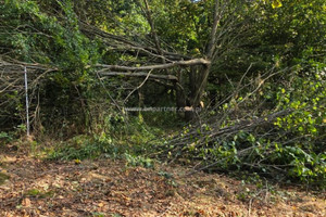 Działka na sprzedaż bocheński Łapanów - zdjęcie 3