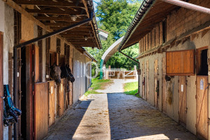 Działka na sprzedaż 16872m2 piaseczyński Konstancin-Jeziorna Okrzeszyn - zdjęcie 1