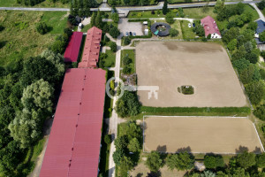 Komercyjne na sprzedaż 5000m2 grodziski Żabia Wola Rumianka Orzechowa - zdjęcie 1