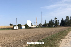 Działka na sprzedaż 3800m2 poznański Buk - zdjęcie 1