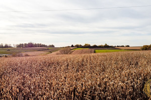 Działka na sprzedaż 5900m2 krakowski Zielonki Bibice Zbożowa - zdjęcie 2