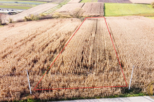 Działka na sprzedaż 5900m2 krakowski Zielonki Bibice Zbożowa - zdjęcie 2