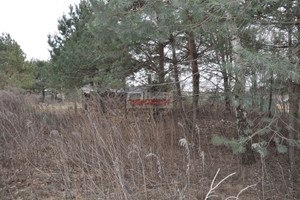 Działka na sprzedaż 2083m2 białostocki Zabłudów Kuriany - zdjęcie 1