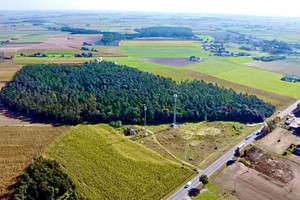 Działka na sprzedaż płocki Staroźreby - zdjęcie 4