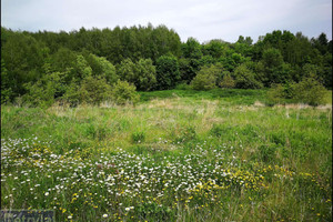 Działka na sprzedaż 6000m2 krakowski Kocmyrzów-Luborzyca Baranówka - zdjęcie 1