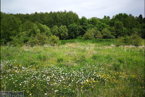 Działka na sprzedaż 6000m2 krakowski Kocmyrzów-Luborzyca Baranówka - zdjęcie 1