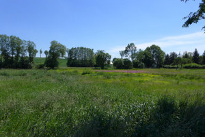 Działka na sprzedaż 2700m2 krakowski Czernichów Czułówek - zdjęcie 2