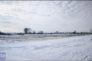 Działka na sprzedaż 3500m2 krakowski Igołomia-Wawrzeńczyce Igołomia - zdjęcie 3