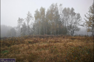 Działka na sprzedaż 1000m2 wielicki Wieliczka Węgrzce Wielkie - zdjęcie 2