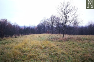 Działka na sprzedaż 3700m2 wielicki Wieliczka Lednica Górna - zdjęcie 1