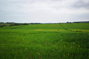 Działka na sprzedaż 795m2 krakowski Kocmyrzów-Luborzyca Wilków - zdjęcie 2